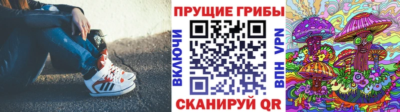 Псилоцибиновые грибы Cubensis Кораблино